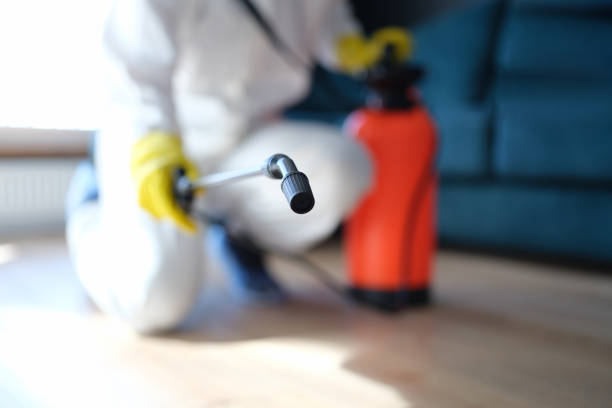 Mold Remediation for Vacation Homes